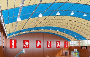 贝卫体育馆空间吸声悬挂体