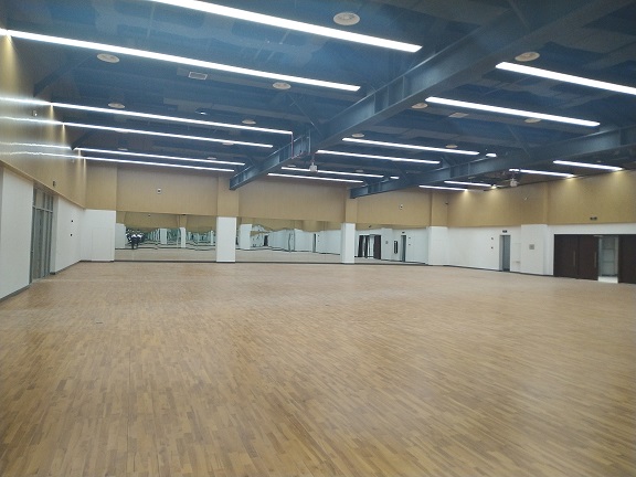 舞蹈房声学处理项目
